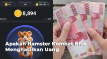 Apakah Hamster Kombat Bisa Menghasilkan Uang dan Aman Tanpa Download Apk