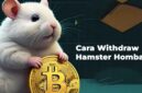 Cara Withdraw Hamster Kombat Banyak yang Cari