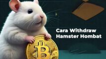 Hamster Kombat Apakah Judi dan Haram? Ini Ulasan Lengkapnya