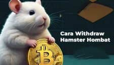 Cara Withdraw Hamster Kombat Banyak yang Cari