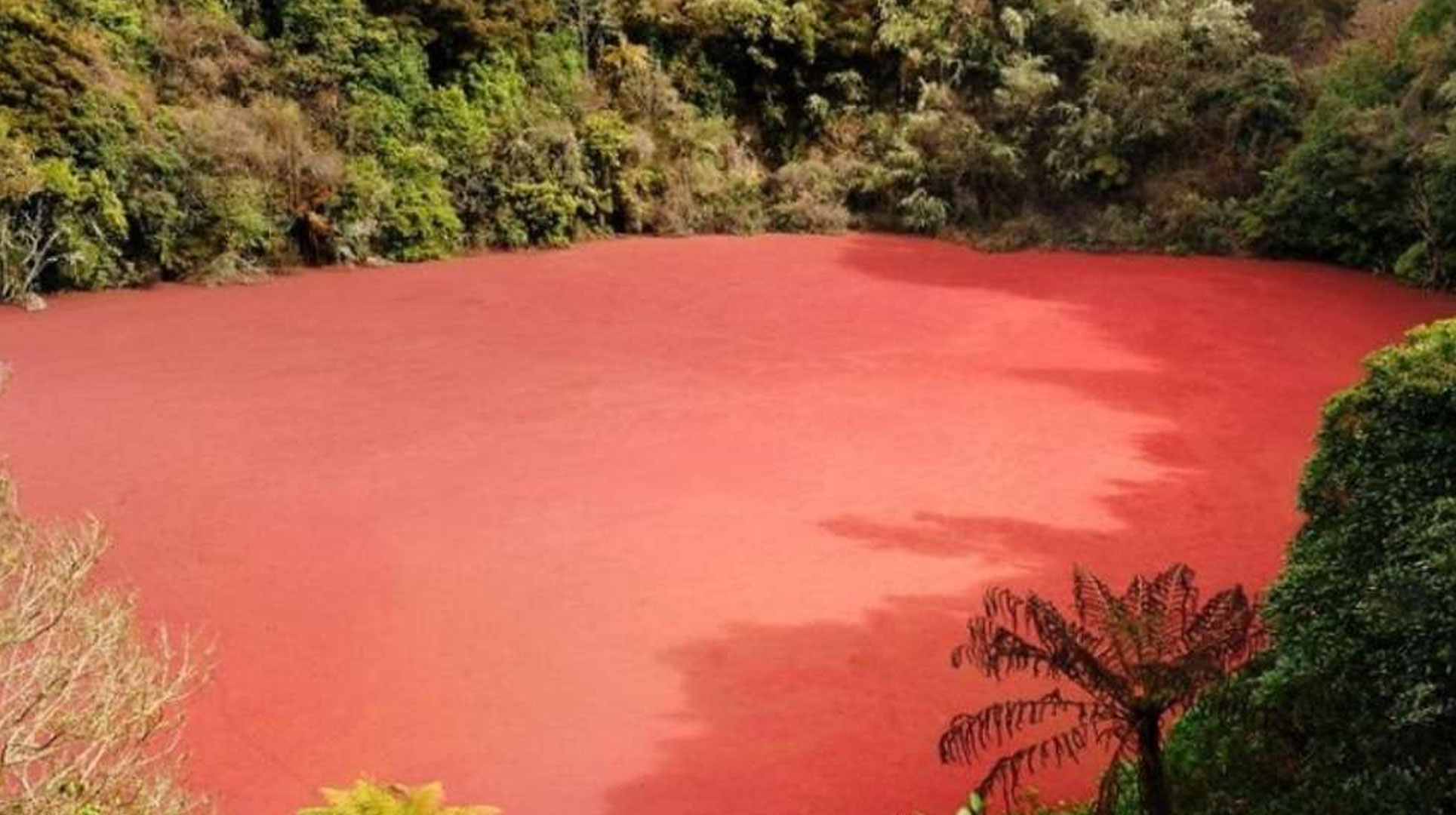 Danau Merah Rimba Candi: Mengungkap Misteri Warna Merah di Perbatasan Sumsel dan Bengkulu