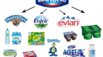 Pemilik Danone Aqua Indonesia