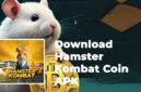 Begini Cara Download Hamster Kombat Coin APK dengan Mudah