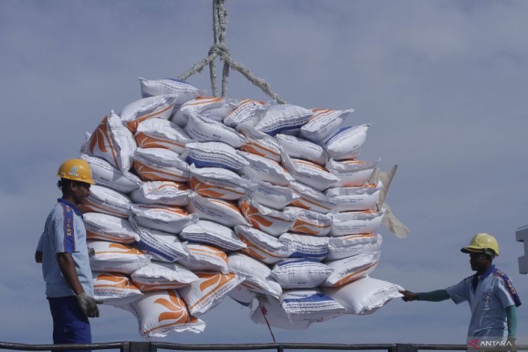 Ilustrasi beras impor