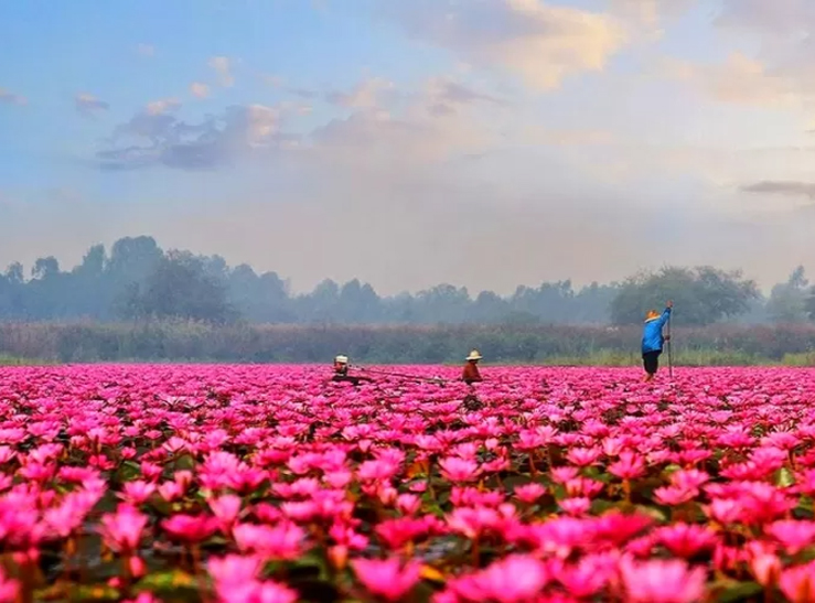 Rekomendasi Objek Wisata di Manggarai Timur Flores, Ada yang Mirip Komodo di Labuan Bajo