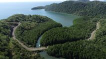 Destinasi wisata baru dengan menjelajahi hutan mangrove di Dusun Rangka, Kecamatan Boleng. (foto : ist)