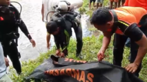 Remaja Tewas Tenggelam Saat Berenang di Sungai Wae Ara Lembor, Manggarai Barat