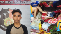 Sadis! Remaja 16 Tahun Bantai Satu Keluarga di Babulu Laut, Ada Motif Dendam dan Asmara