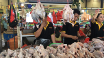 BPS: Harga Daging Ayam Naik di 250 Daerah, kenaikan harga naik, lebaran, ramadan