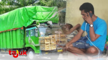 kisah sopir truk lintas flores