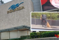 Plaza Indonesia memutuskan kontrak dengan K9 Security usai petugasnya ketahuan memukuli anjing penjaga. Foto kolase: Tajukflores.com
